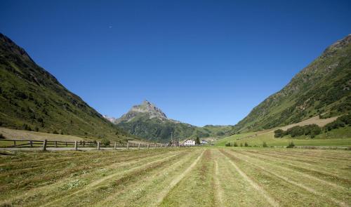 a field in a valley with mountains in the background at Vermunt - Silvretta Sommer Premium Card inklusive in Galtür