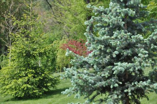 Ein Garten an der Unterkunft Guesthouse Djurić