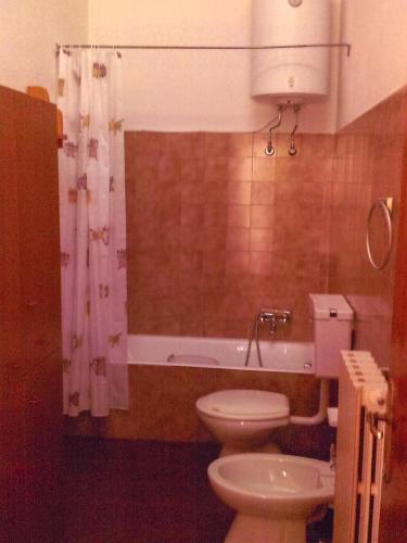 a bathroom with a toilet and a bath tub at Bilocale indipendente tellino in Teglio
