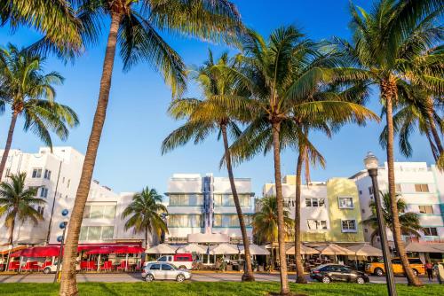 a group of palm trees in front of a building at Sage on Ocean Drive Apartments in Miami Beach