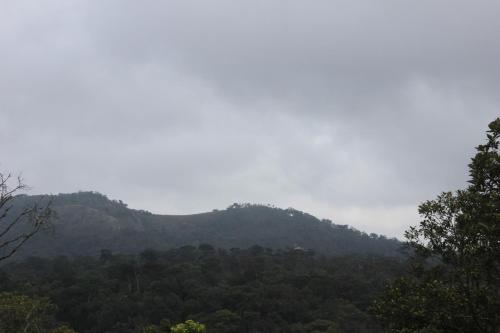 auliculiculiculiculiculiculiculiculiculiculiculiculiculiculic at 31st December Farms And Estates Munnar in Munnar