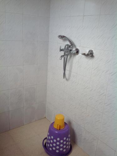 een douche met een kraan en een paarse container bij Holly Lodge Guest House in Shillong