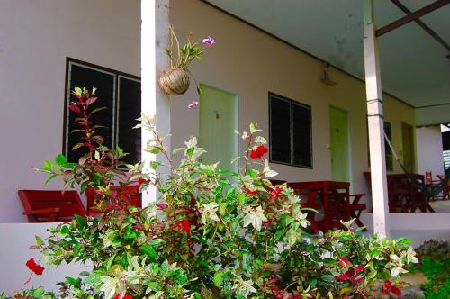 a group of plants in front of a building at TP Hut Bungalows in Ko Chang