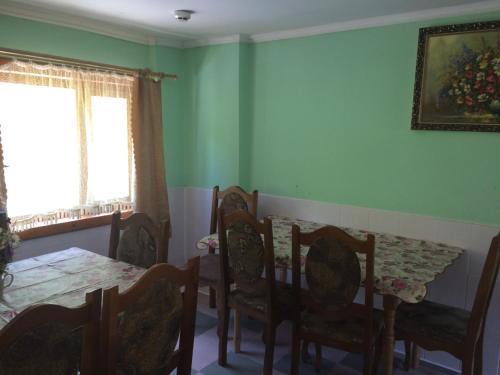a dining room with green walls and a table and chairs at Krasa Karpat in Snidavka