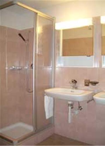 邁恩費爾德的住宿－蘭德加斯托聖盧奇斯哥賓館，带淋浴和盥洗盆的浴室