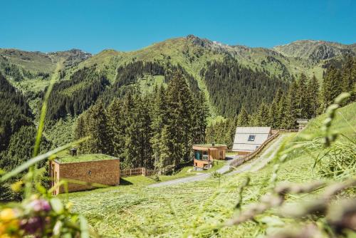 a house on a hill with mountains in the background at Almhof Roswitha in Hippach