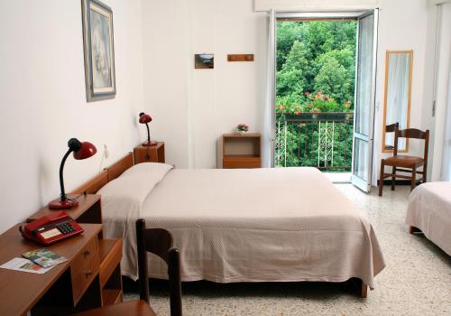 Schlafzimmer mit einem Bett, einem Schreibtisch und einem Fenster in der Unterkunft Albergo Ristorante Regina in Bognanco