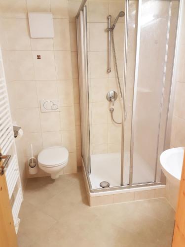 a bathroom with a shower and a toilet and a sink at Gasthof Hochsteg in Finkenberg