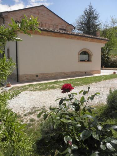 a red flower in front of a building at Agriturismo Fonte Carra in Grottazzolina