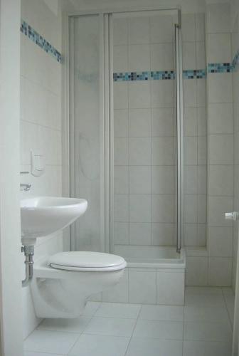 a bathroom with a shower and a toilet and a sink at Forsthaus Appartements in Braunschweig