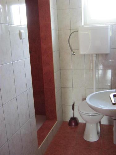 a bathroom with a shower and a toilet and a sink at Apartment Maskarin Rab in Mundanije