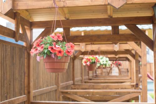 a row of potted flowers hanging from a building at Praktik Hotel & Restaurant in Berehove