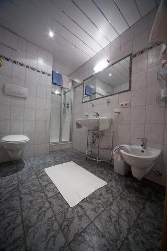 a bathroom with a sink and a toilet and a mirror at Bio Aparthotel Blaslahof in Valle Di Casies