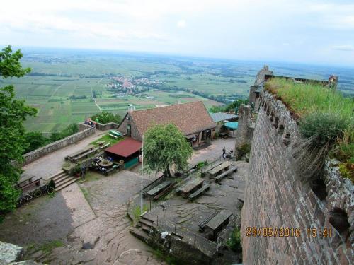 Příroda nedaleko apartmánu