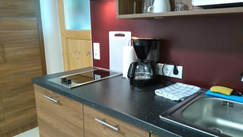a kitchen with a sink and a counter top at Pension Elisabeth - Rooms & Apartments in Salzburg