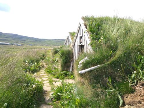 a small house on the side of a grassy hill at Hótel Laugarhóll with natural hot spring in Laugarholl