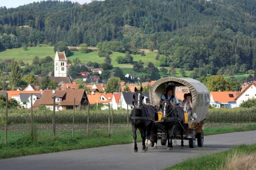 two people riding in a horse drawn carriage on a road at Landgasthof Paradies in Frickingen