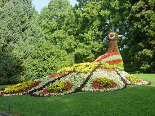 a display of flowers in a garden in a park at Landgasthof Paradies in Frickingen