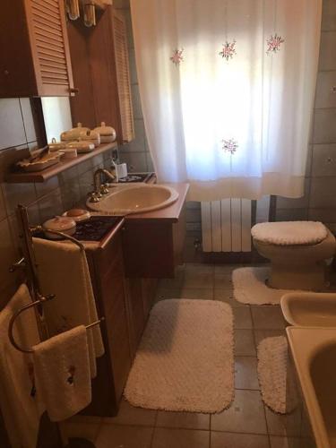 a bathroom with a sink and a toilet and a window at Villa Marina Big in Laterina