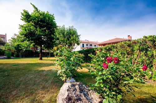 Zahrada ubytování Hotel Colucci