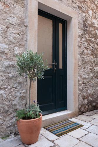a plant in a pot next to a door at Apartments Zoro in Dubrovnik