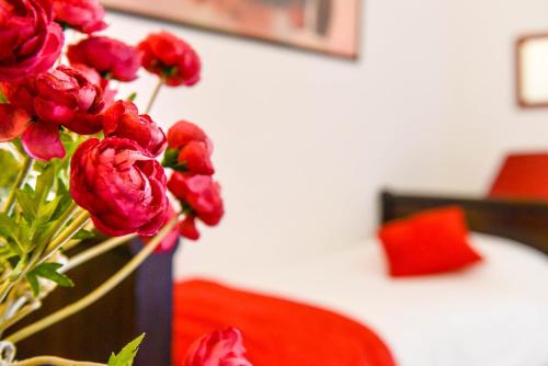 Hostellerie Des Corbieres – Photos 4