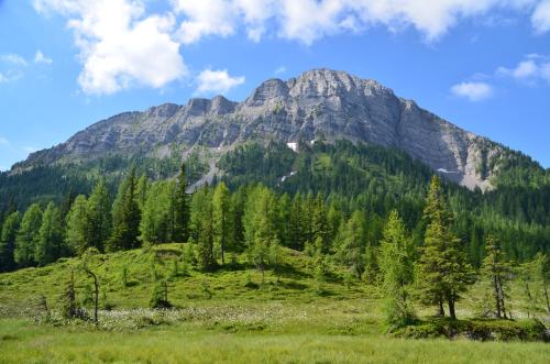 a mountain in the middle of a field with trees at Ferienwohnung Gästehaus Inge in Zlan