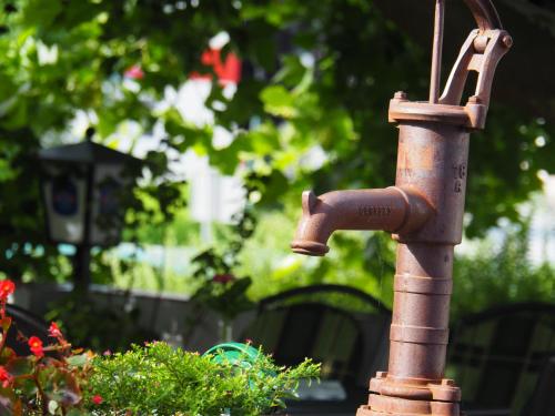 a bronze water faucet in a garden at Breitenfelderhof zur Riegersburg in Breitenfeld an der Rittschein