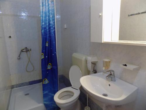 a bathroom with a toilet and a sink and a shower at Apartment Lopar 15 in Lopar