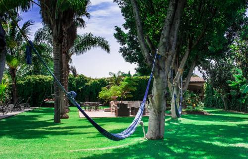 a hammock tied to a tree in a park at Hotel Esmeralda in Atlixco