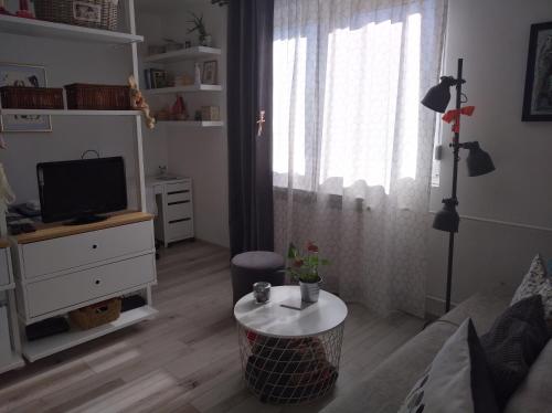 Μια τηλεόραση ή/και κέντρο ψυχαγωγίας στο New Studio Apartment Sun with free parking