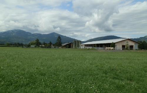 a field of green grass with a barn and mountains at Steigmatt Bauernhof- Erlebnis in Montlingen
