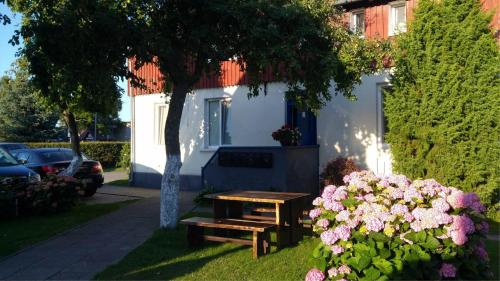 Gallery image of Guesthouse "Nakvyne pas zveja" Nagliu street in Nida