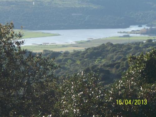 a view of a body of water with trees at Agriturismo B&B Casteldoria in Santa Maria Coghinas
