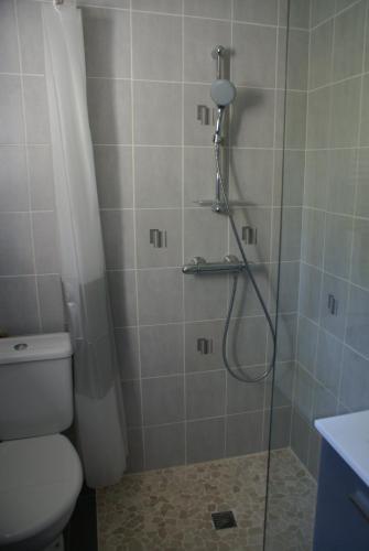 a bathroom with a shower with a toilet and a shower head at Domisiladore in Latouille-Lentillac