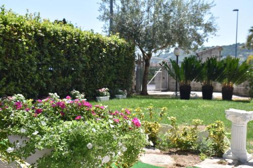 B&B Amore Mio – Photos 2