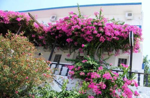 a building with pink flowers on the side of it at Atlantis Hotel in Myrties