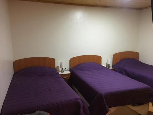 two beds in a room with purple sheets at Hostería Estelita in Panimávida