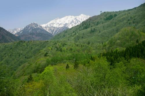 a green valley with snow capped mountains in the background at Nakao Kogen Hotel Kazaguruma in Takayama