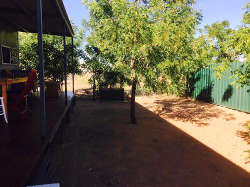 a tree in a yard next to a fence at Cottage on Cork Steadman Cottage in Winton