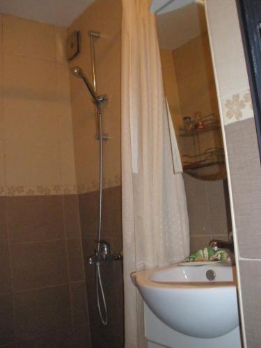 a bathroom with a shower curtain and a sink at Comfort Guest Rooms in Pleven