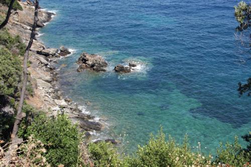 Gallery image of Casa Pineta in Procchio