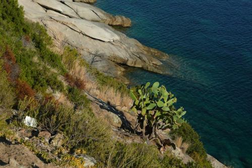 Gallery image of Casa Pineta in Procchio