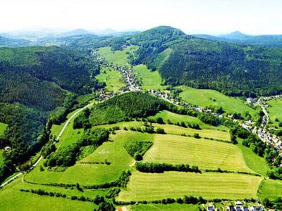 an aerial view of a village in the mountains at Landhotel Quirle-Häusl in Waltersdorf
