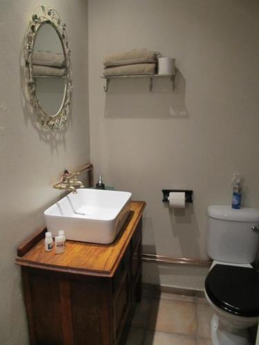 a bathroom with a sink and a toilet and a mirror at De Sandsteen Gastehuis in Warden