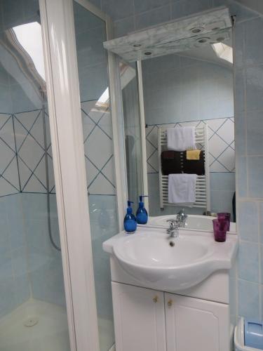 une salle de bain avec un lavabo et une douche dans l'établissement La Ferme de l'isle et sa Roulotte, à Avaray