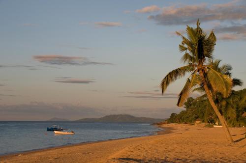 a palm tree on a beach with a boat in the water at Eden Lodge in Madirokely