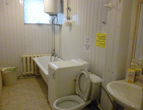 アルハンゲリスクにあるДом с мансардойの小さなバスルーム(トイレ、シンク付)