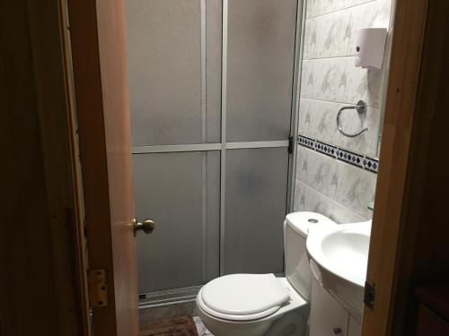 a bathroom with a toilet and a sink at Hostería Estelita in Panimávida