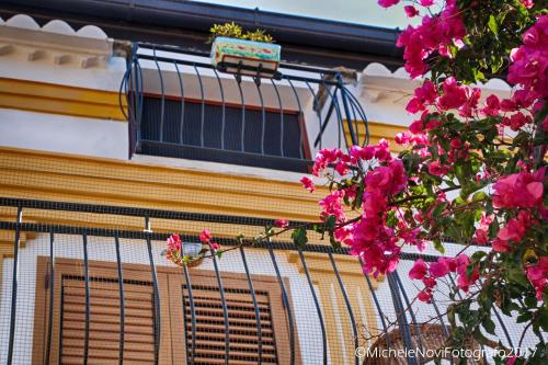 サン・ニコーラ・アルチェッラにあるLa Casa di Ivanaのピンクの花が目の前に咲く窓のある建物